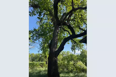 8645 County Road 49, Guinda, CA 95637 - Photo 67