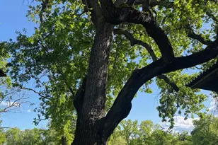 8645 County Rd 49, Guinda, CA 95637 - Photo 67