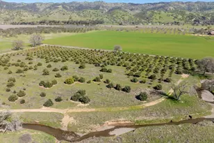 8645 County Rd 49, Guinda, CA 95637 - Photo 53