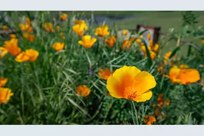 30247 Pleasant View Road, Winters, CA 95694 - Photo 5