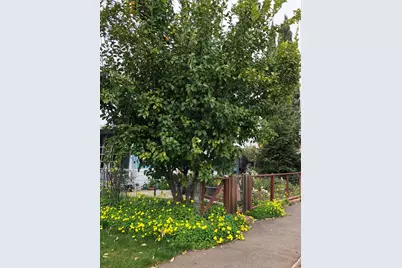 131 Full Circle, Davis, CA 95618 - Photo 49