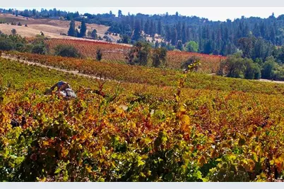 12551 Steiner Road, Plymouth, CA 95669 - Photo 21