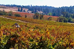 12551 Steiner Rd, Plymouth, CA 95669 - Photo 21