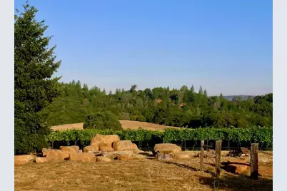 12551 Steiner Road, Plymouth, CA 95669 - Photo 3