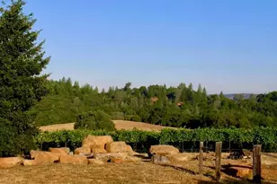 12551 Steiner Rd, Plymouth, CA 95669 - Photo 3