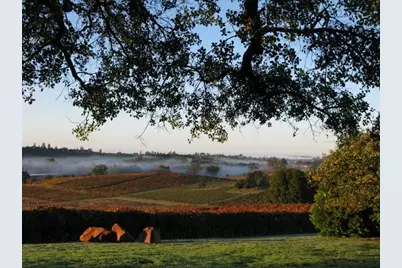 12551 Steiner Road, Plymouth, CA 95669 - Photo 5