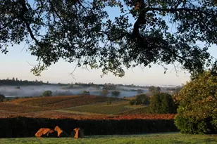 12551 Steiner Rd, Plymouth, CA 95669 - Photo 5