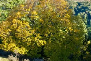 12551 Steiner Rd, Plymouth, CA 95669 - Photo 17