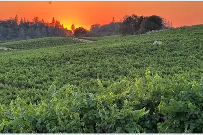 12551 Steiner Road, Plymouth, CA 95669 - Photo 11