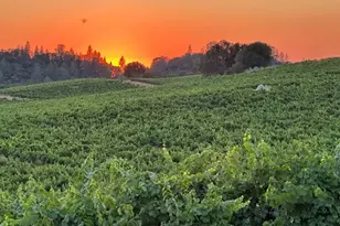 12551 Steiner Rd, Plymouth, CA 95669 - Photo 11