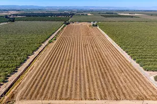 743 College City Rd, Arbuckle, CA 95912 - Photo 33