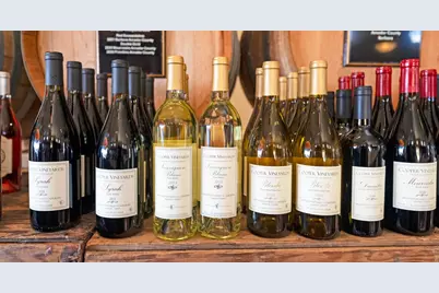 21365 Shenandoah School Road, Plymouth, CA 95669 - Photo 37