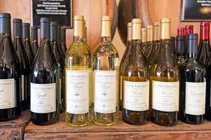 21215 Shenandoah School Rd, Plymouth, CA 95669 - Photo 39