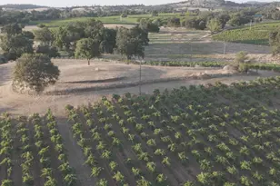 21215 Shenandoah School Rd, Plymouth, CA 95669 - Photo 43