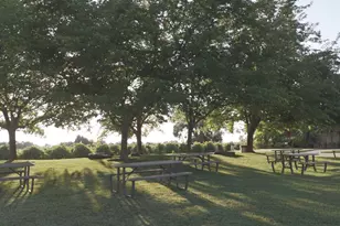 21215 Shenandoah School Rd, Plymouth, CA 95669 - Photo 29