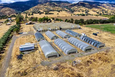 16520 County Road 56, Guinda, CA 95637 - Photo 17