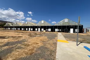 16520 County Rd 56, Guinda, CA 95637 - Photo 7