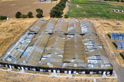 16520 County Road 56, Guinda, CA 95637 - Photo 3