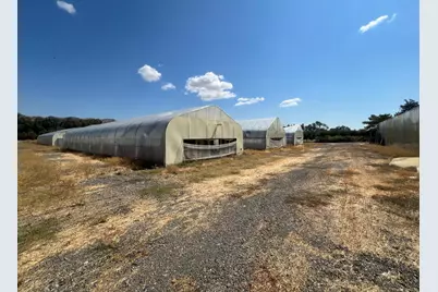 16520 County Road 56, Guinda, CA 95637 - Photo 31