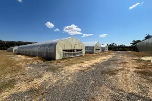 16520 County Rd 56, Guinda, CA 95637 - Photo 31