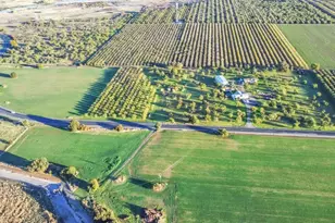 25752 State Hwy 16, Esparto, CA 95627 - Photo 47
