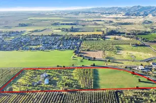 25752 State Hwy 16, Esparto, CA 95627 - Photo 53