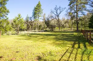 3210 Bridgeport School Rd, Fiddletown, CA 95629 - Photo 21