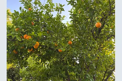 3415 E Oro Dam Boulevard #311, Oroville, CA 95966 - Photo 25