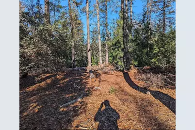 6414 Green Leaf Lane, Foresthill, CA 95631 - Photo 3