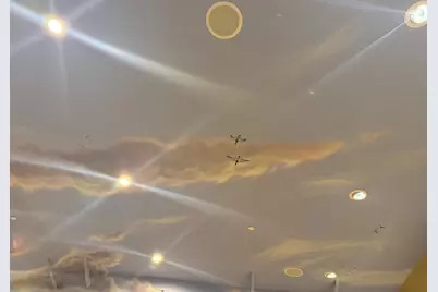 3488 River Road, Colusa, CA 95932 - Photo 29