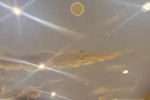 3488 River Rd, Colusa, CA 95932 - Photo 29