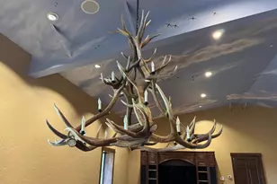 3488 River Rd, Colusa, CA 95932 - Photo 9