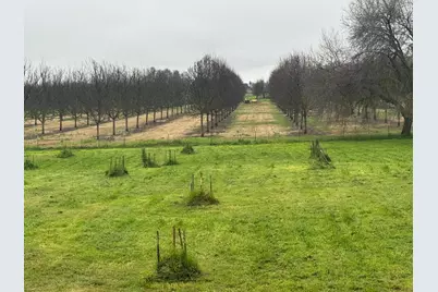 3488 River Road, Colusa, CA 95932 - Photo 17