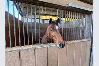 36100 Russell Boulevard, Davis, CA 95616 - Photo 37