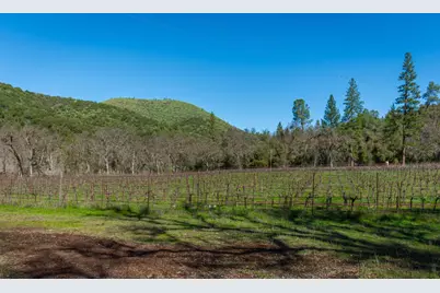 [Address not provided], Murphys, CA 95247 - Photo 73