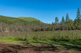 [Address not provided], Murphys, CA 95247 - Photo 73