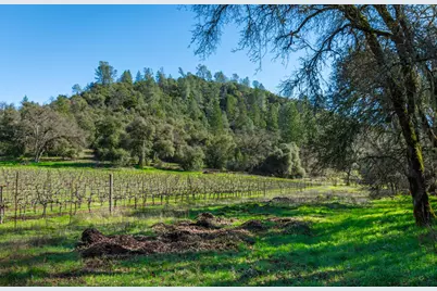 [Address not provided], Murphys, CA 95247 - Photo 67