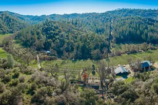 [Address not provided], Murphys, CA 95247 - Photo 7