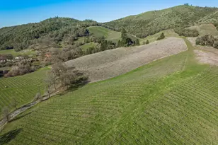 [Address not provided], Murphys, CA 95247 - Photo 19