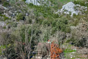 [Address not provided], Murphys, CA 95247 - Photo 3