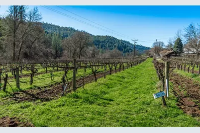 [Address not provided], Murphys, CA 95247 - Photo 71
