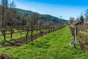 [Address not provided], Murphys, CA 95247 - Photo 71