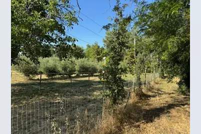 17058 Road 57, Guinda, CA 95637 - Photo 59