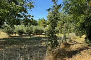 17058 Rd 57, Guinda, CA 95637 - Photo 59