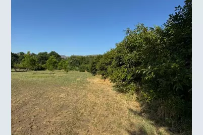 17058 Road 57, Guinda, CA 95637 - Photo 35