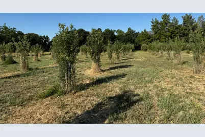 17058 Road 57, Guinda, CA 95637 - Photo 81