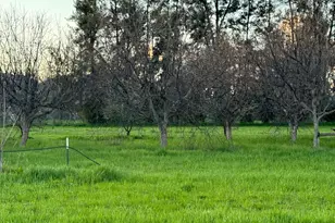 17058 Rd 57, Guinda, CA 95637 - Photo 71