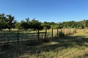 17058 Rd 57, Guinda, CA 95637 - Photo 21