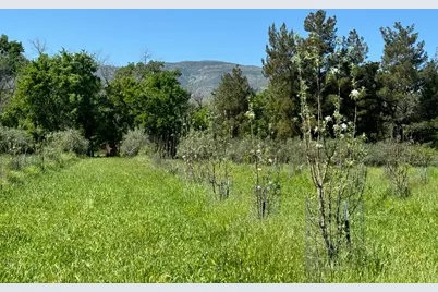 17058 Road 57, Guinda, CA 95637 - Photo 13