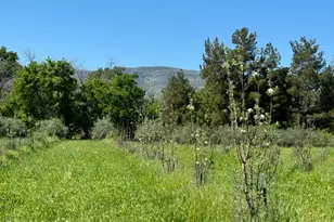 17058 Rd 57, Guinda, CA 95637 - Photo 13